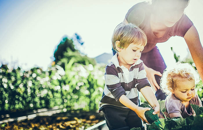 Mother and children picking vegetables