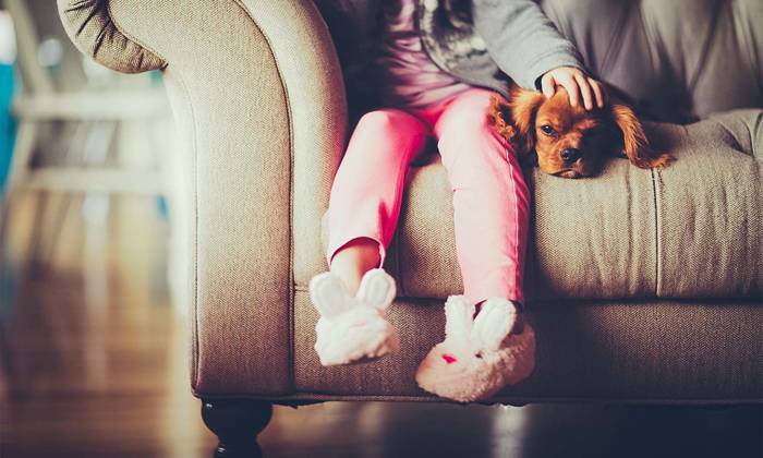 girl on couch patting dog