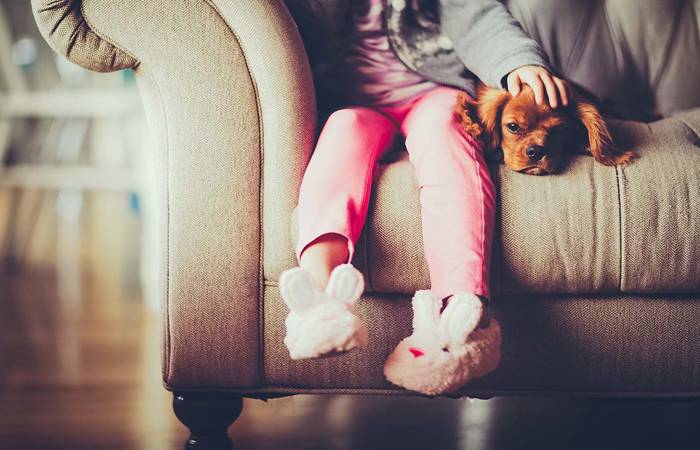 girl on couch patting dog